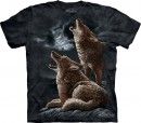 Howling Coyotes